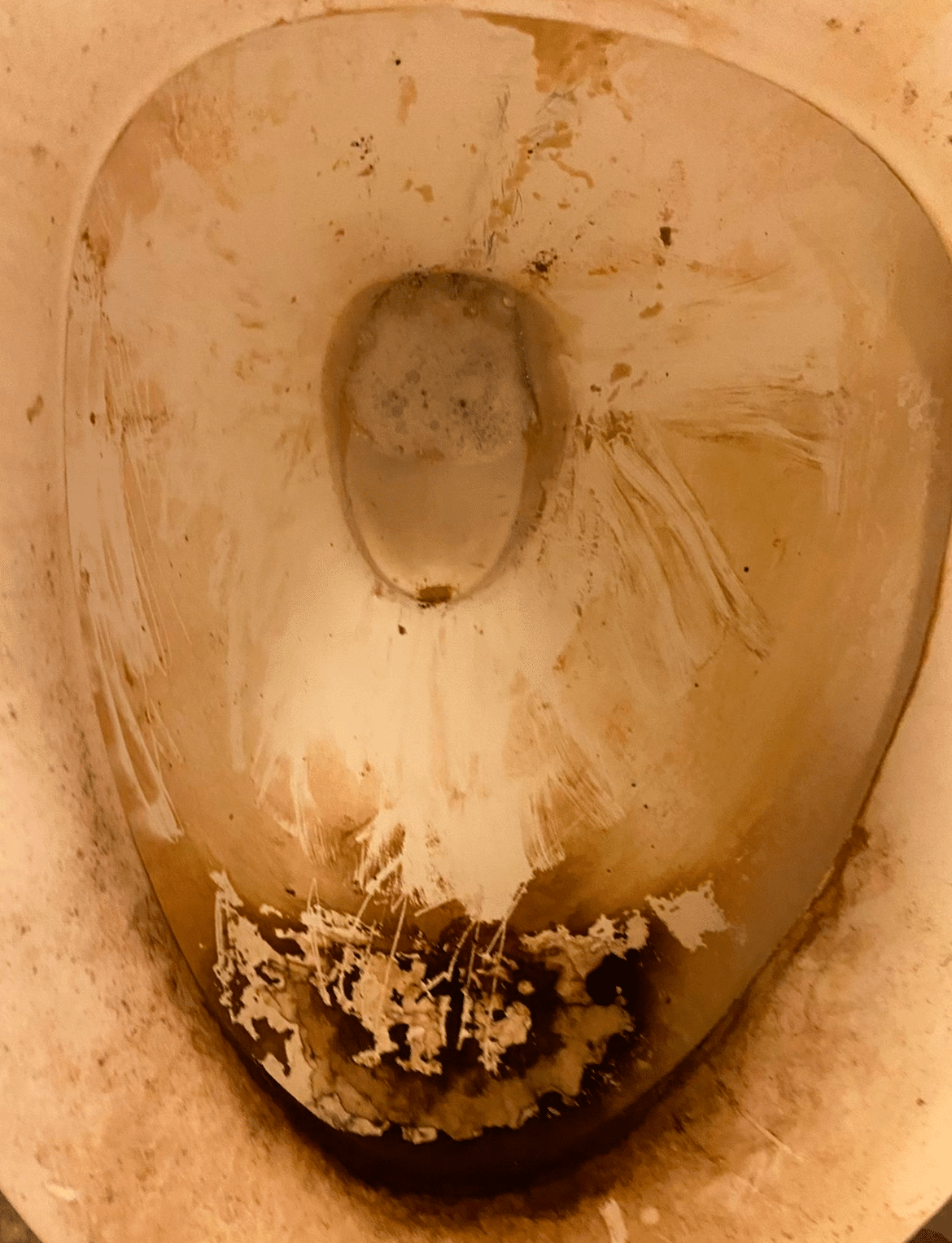 Toilet-Before
