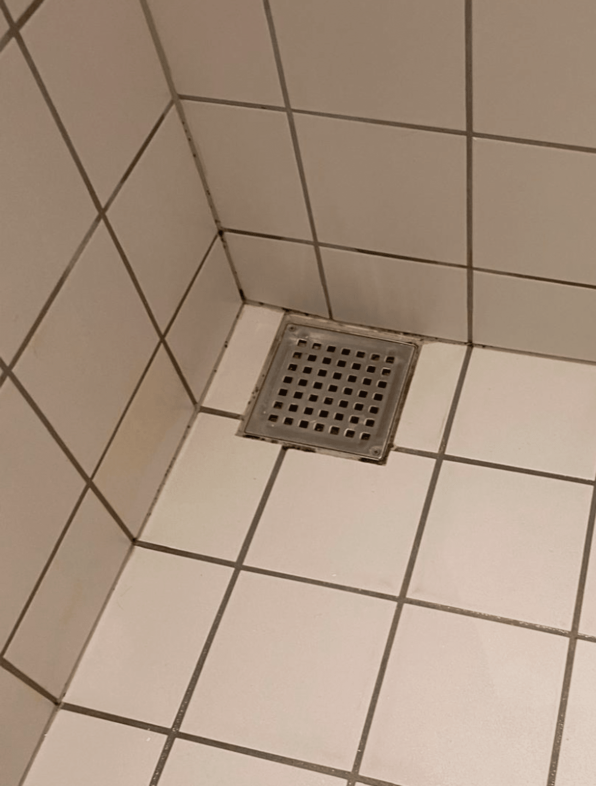 image00012